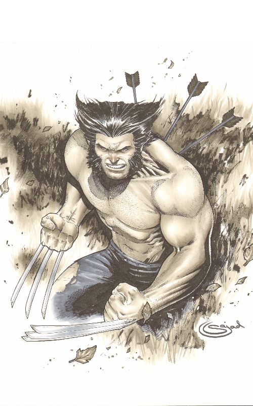 Wolverine :